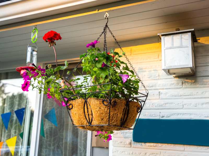 hanging basket