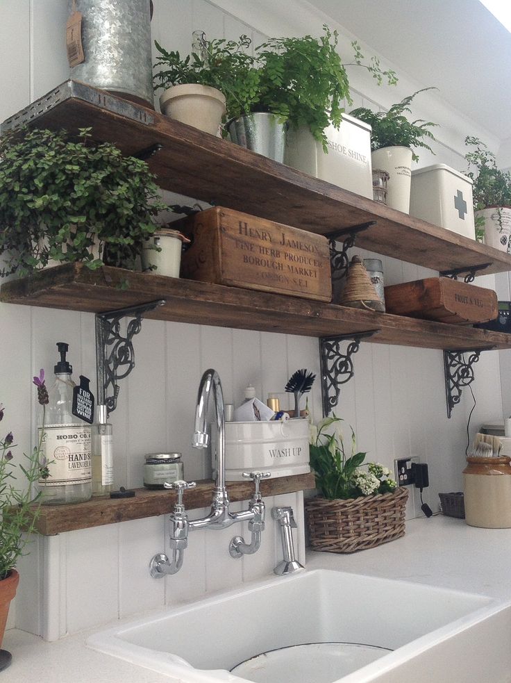 kitchen herb garden