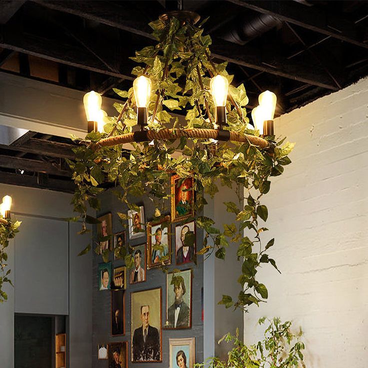 plant chandelier for indoor plant