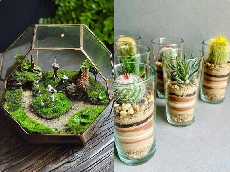 Enjoy Your Terrarium