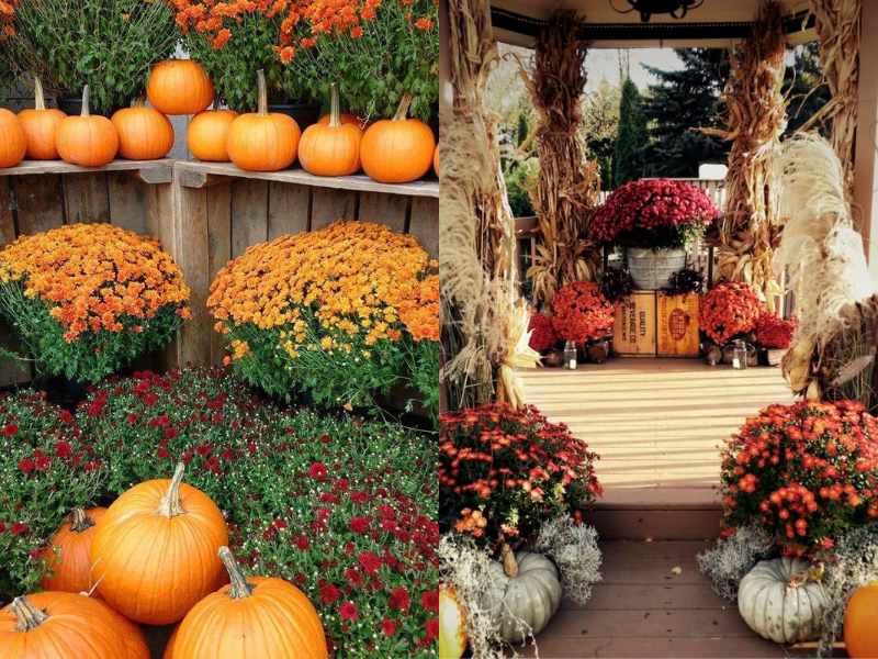 Gourds and Pumpkins for outdoor thanksgiving decoration