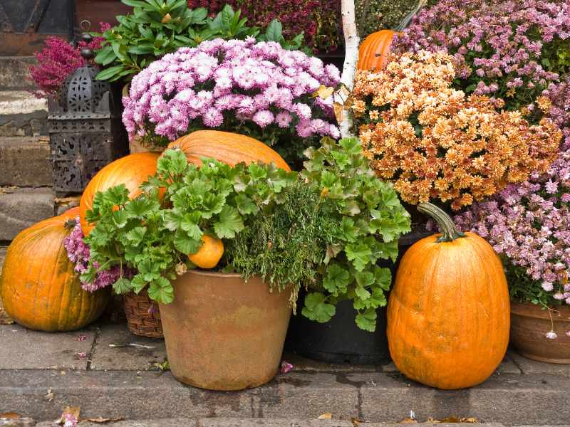 Hay Bale Display for thanksgiving decoration