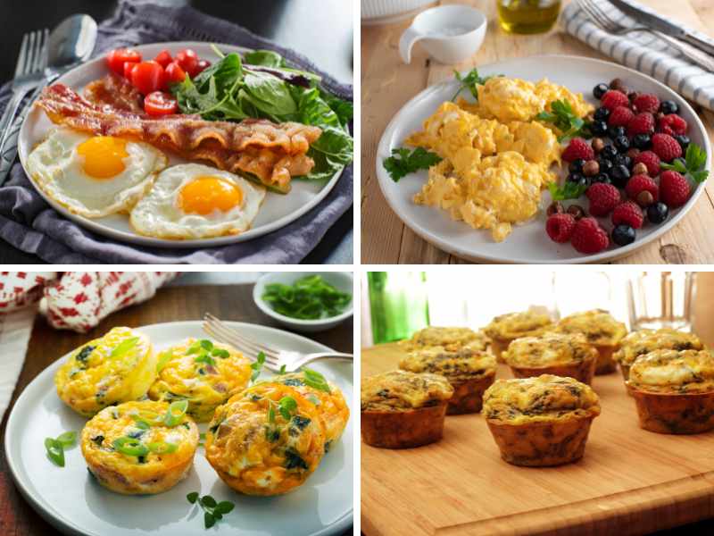 High Protein Low Carb Recipes