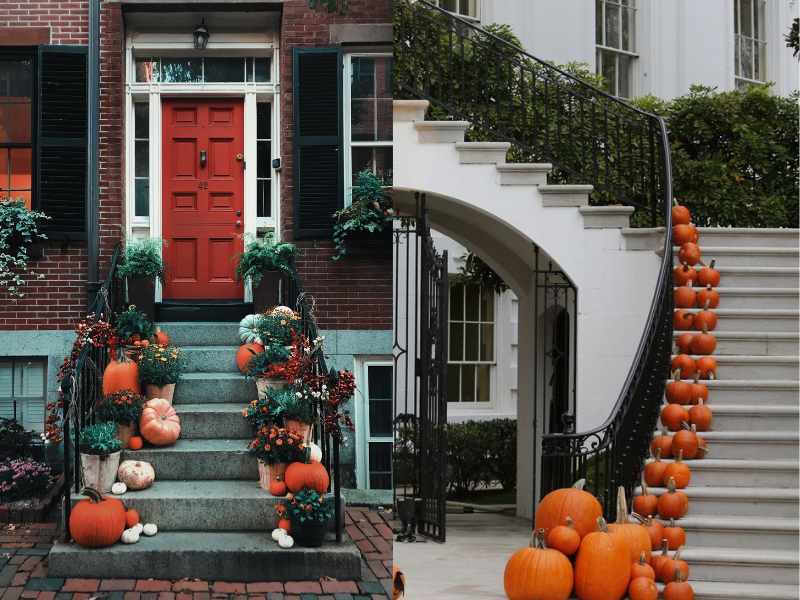 Pumpkin Patch Entrance for thanksgiving decoration 