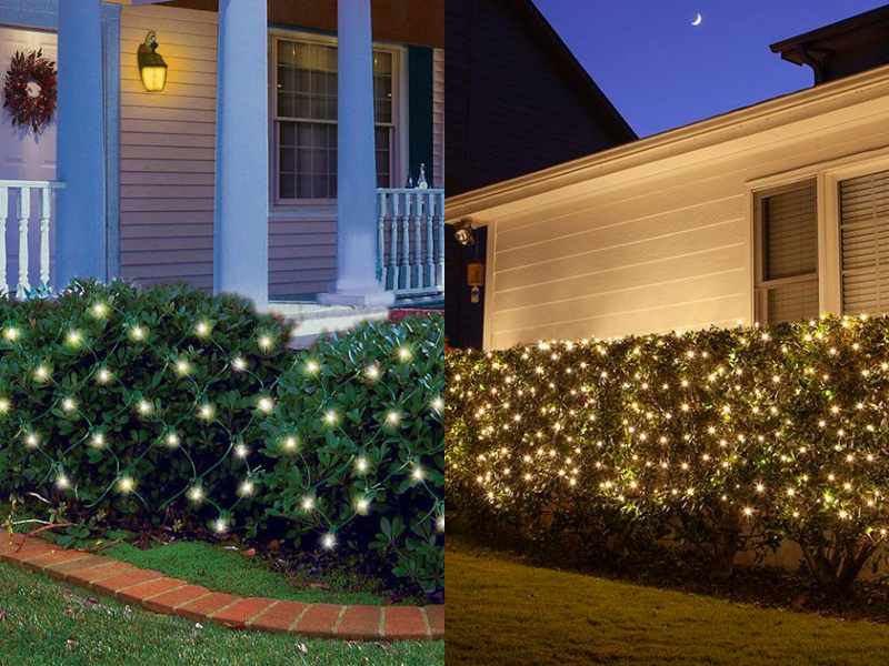 Christmas Light Netting on Bushes