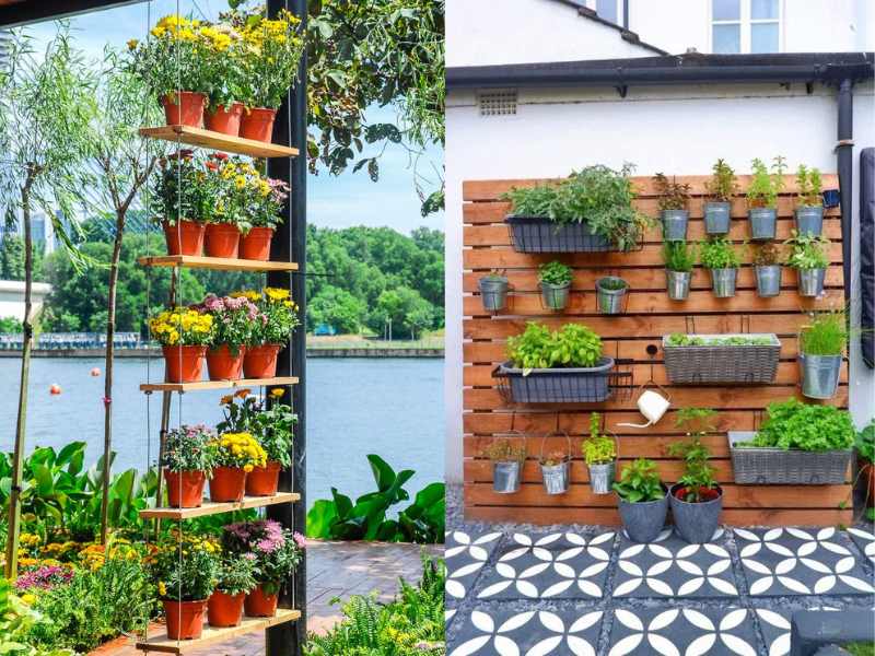 Create a Vertical Garden