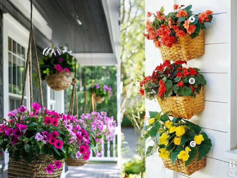 Hanging Baskets