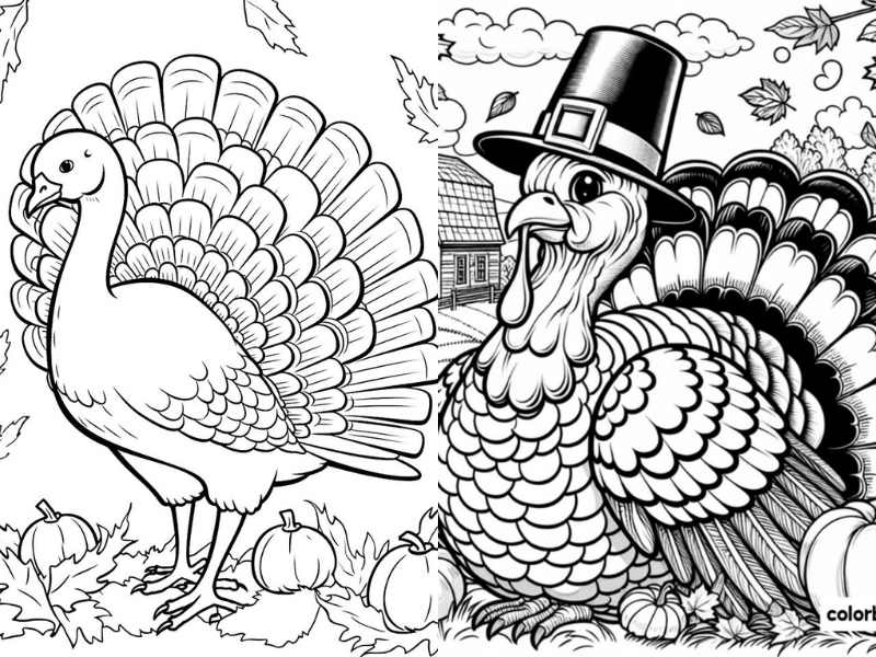 Thanksgiving Coloring Pages