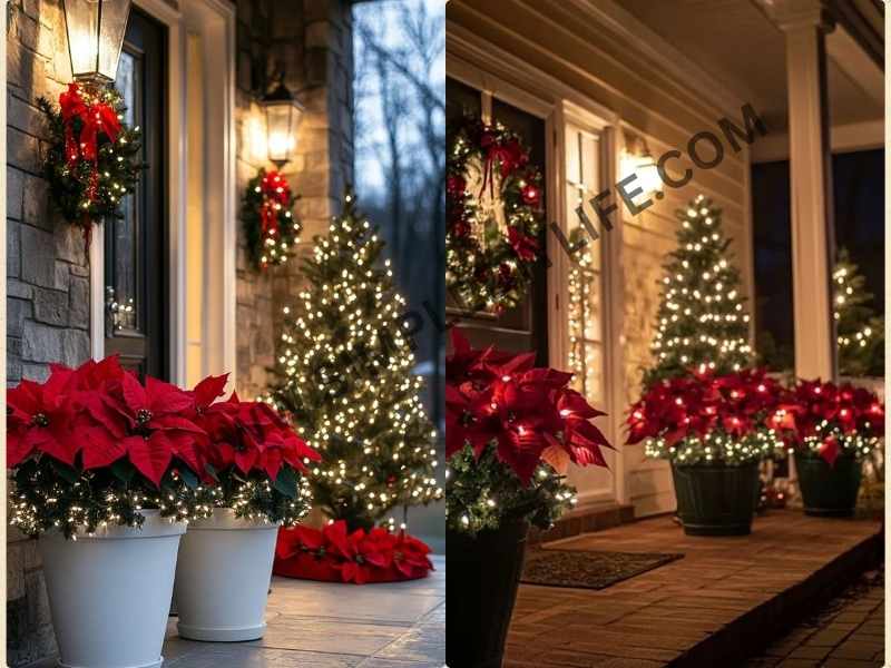 Seasonal Decorations in ways to incorporate color scheme into your outdoor decor.