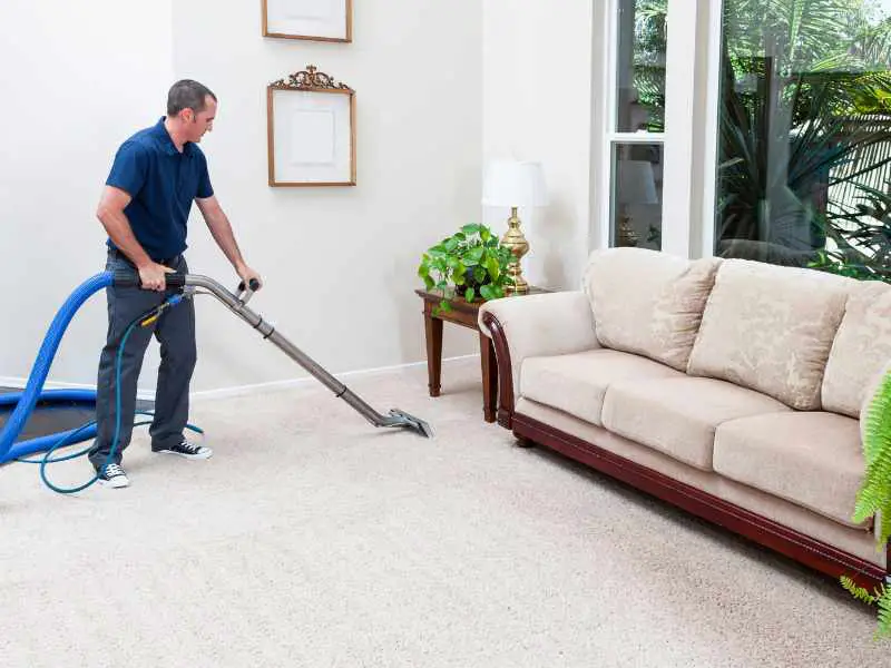 Deep Clean Carpets and Rugs in how to keep your home clean.