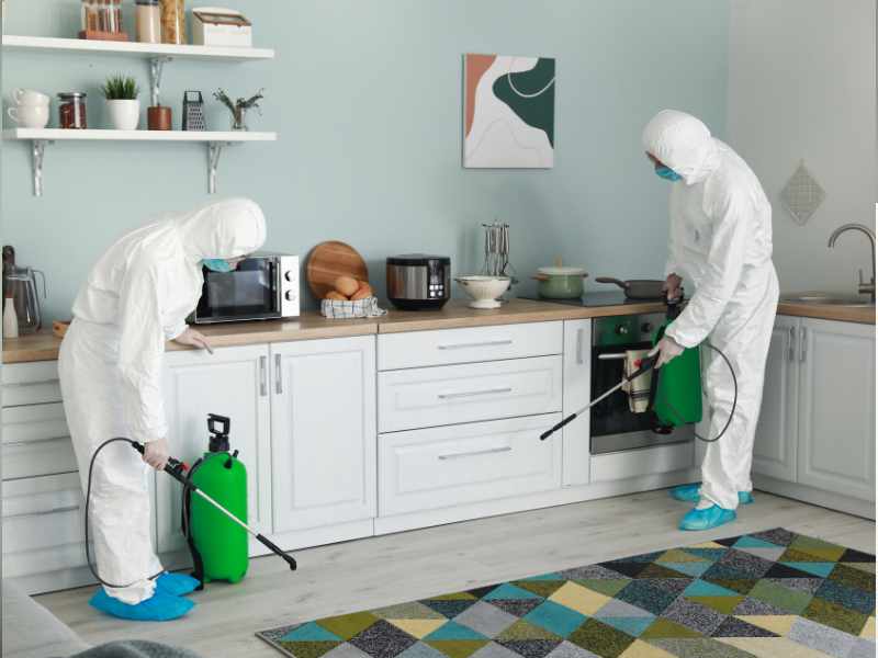 Disinfect High-Touch Areas in how to keep your home clean.